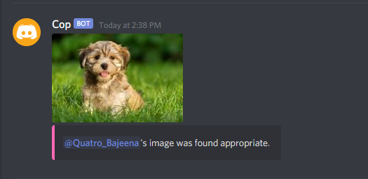 sending image of dog